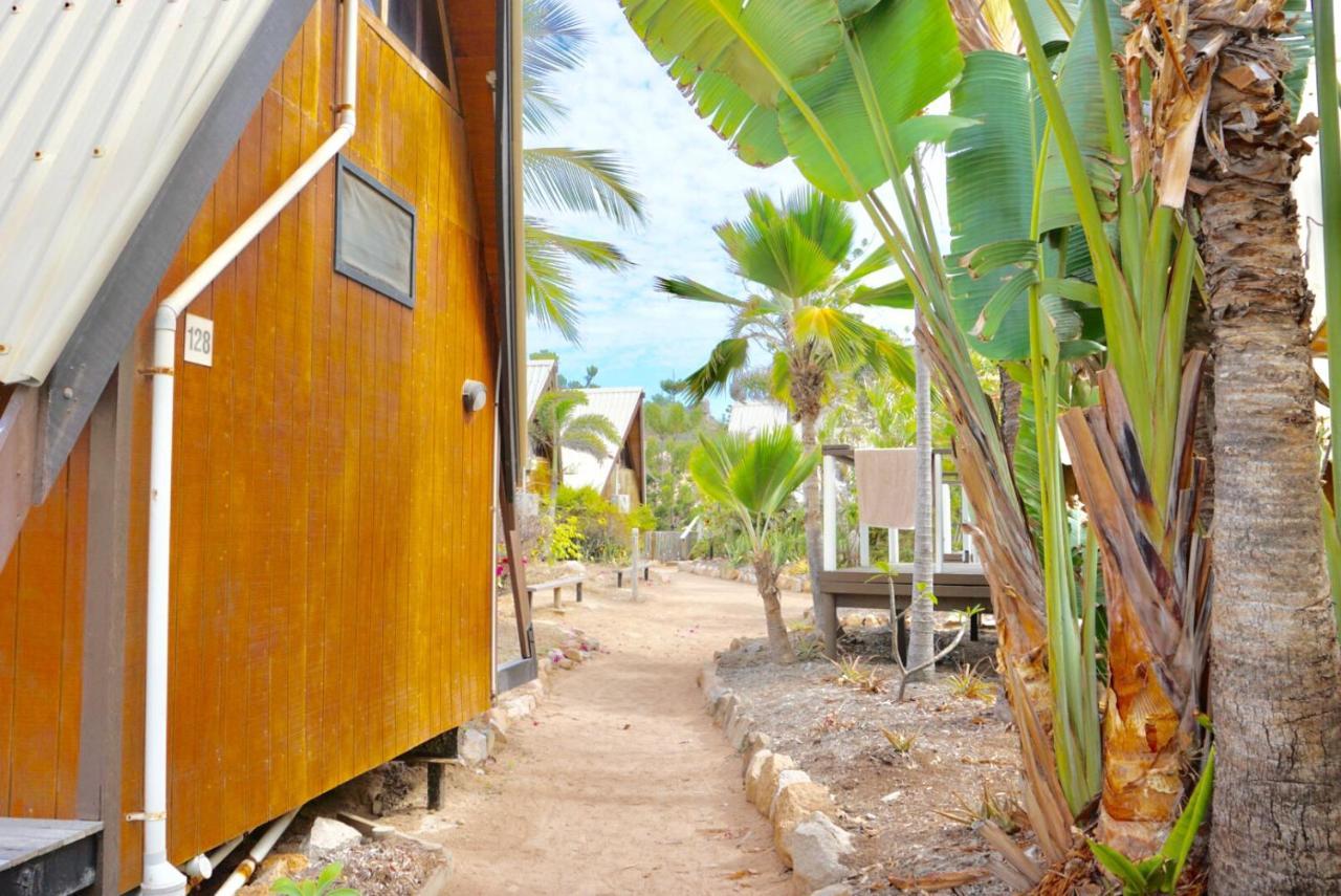 Hostel Nomads Magnetic Island Nelly Bay Zewnętrze zdjęcie